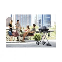 Napoleon TravelQ PRO285 M. Foldbar Vogn Black Gasgrill -homeshop Butik unnamed file 1989